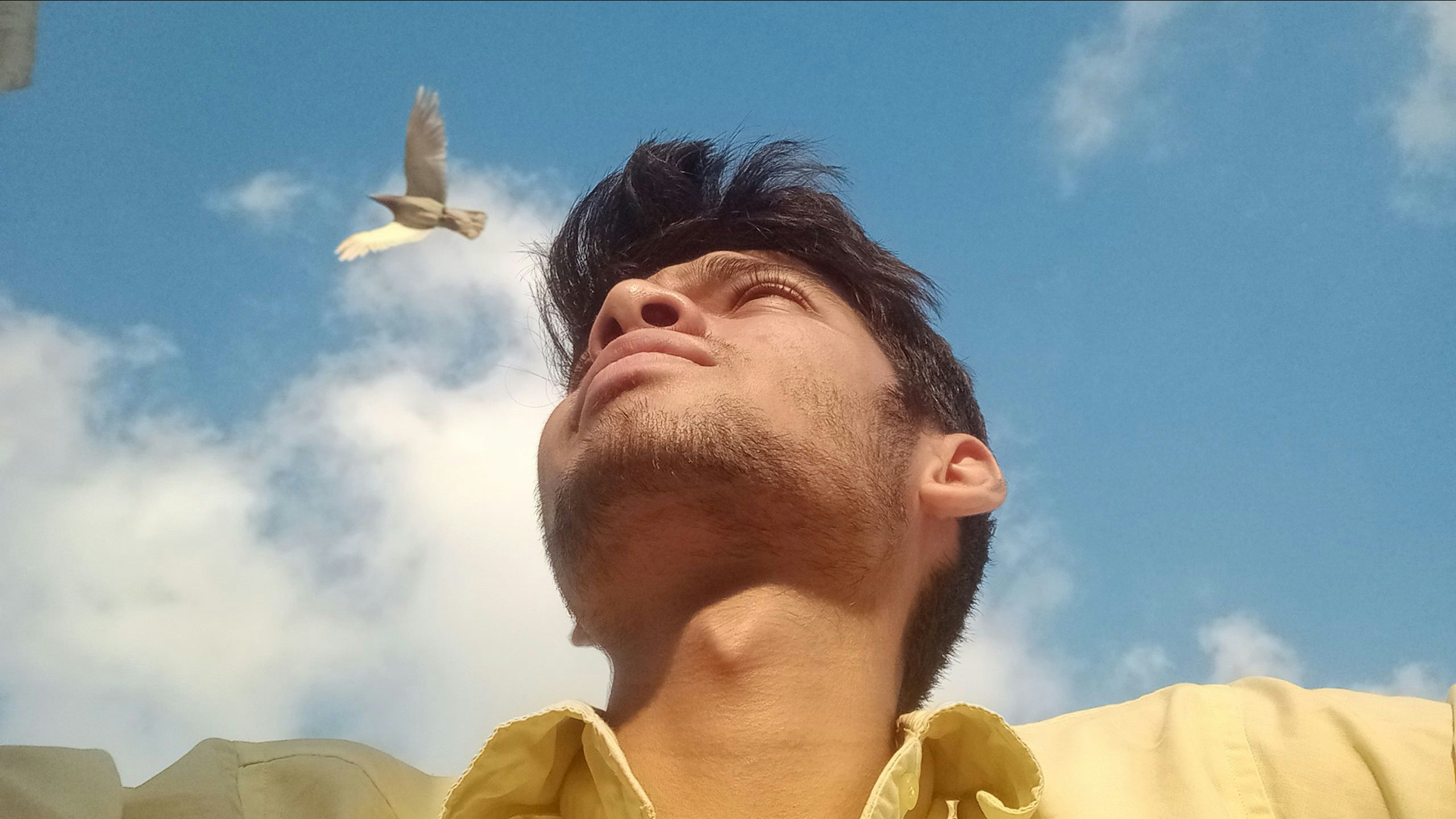 Khizar Alam
