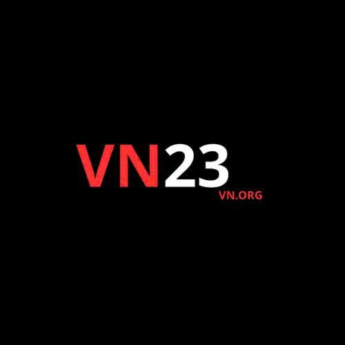 VN23