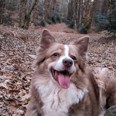 Francesco Santi (Superman)