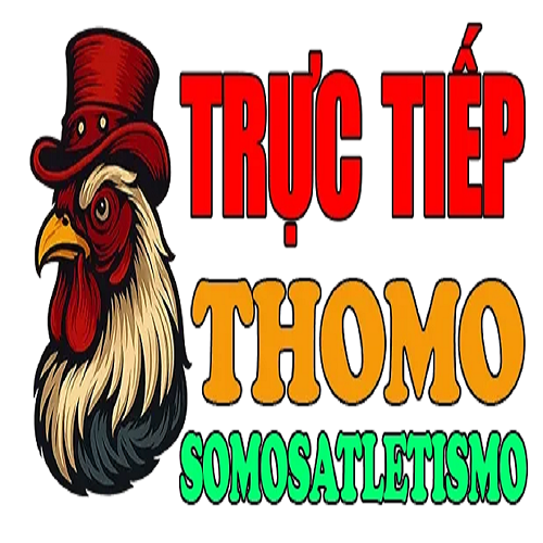 ĐÁ GÀ TRỰC TIẾP THOMO HÔM NAY
