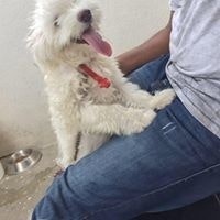 Baalaji Ravichandran