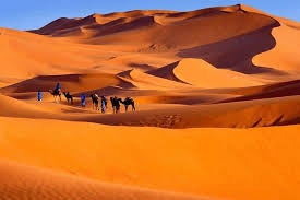 Marrakech desert tour