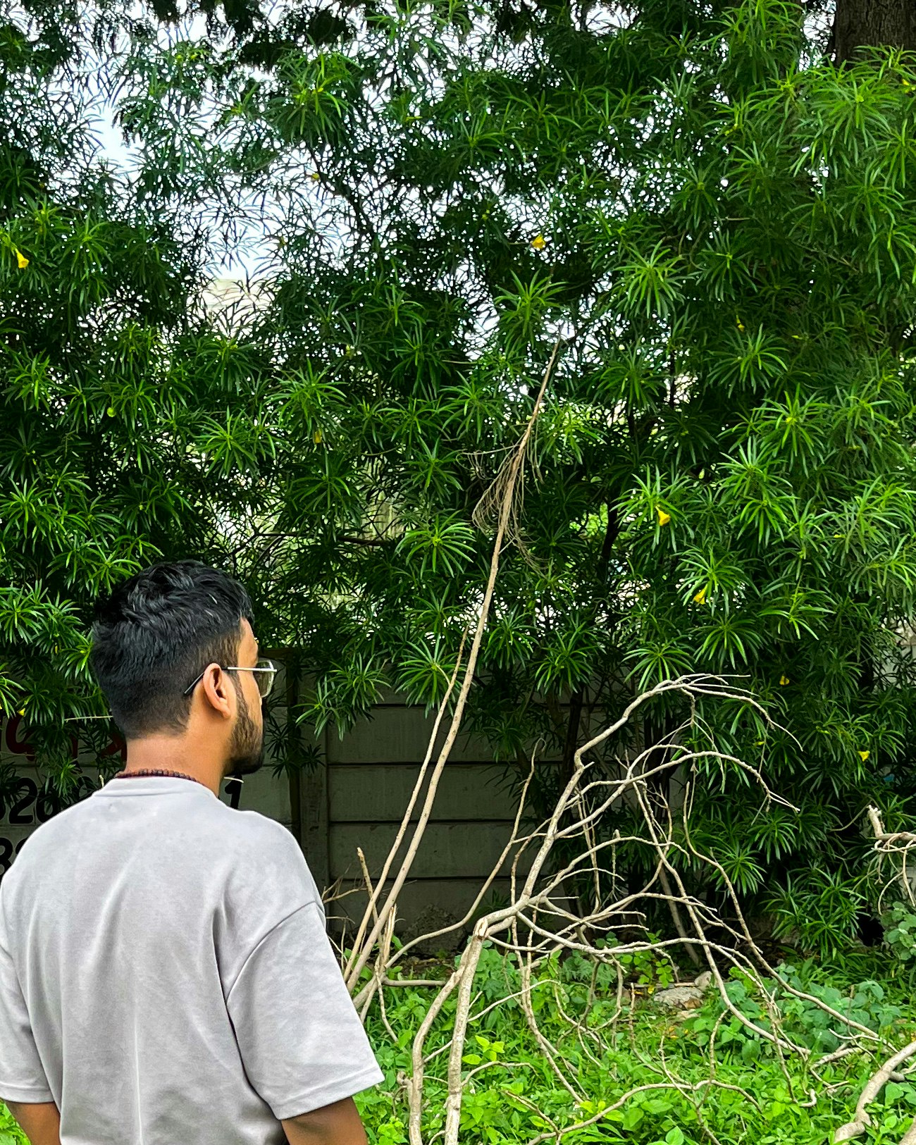 Aadish Jain