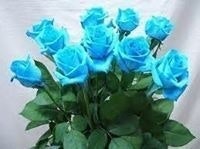 Nguyễn Thị Thu Thủy