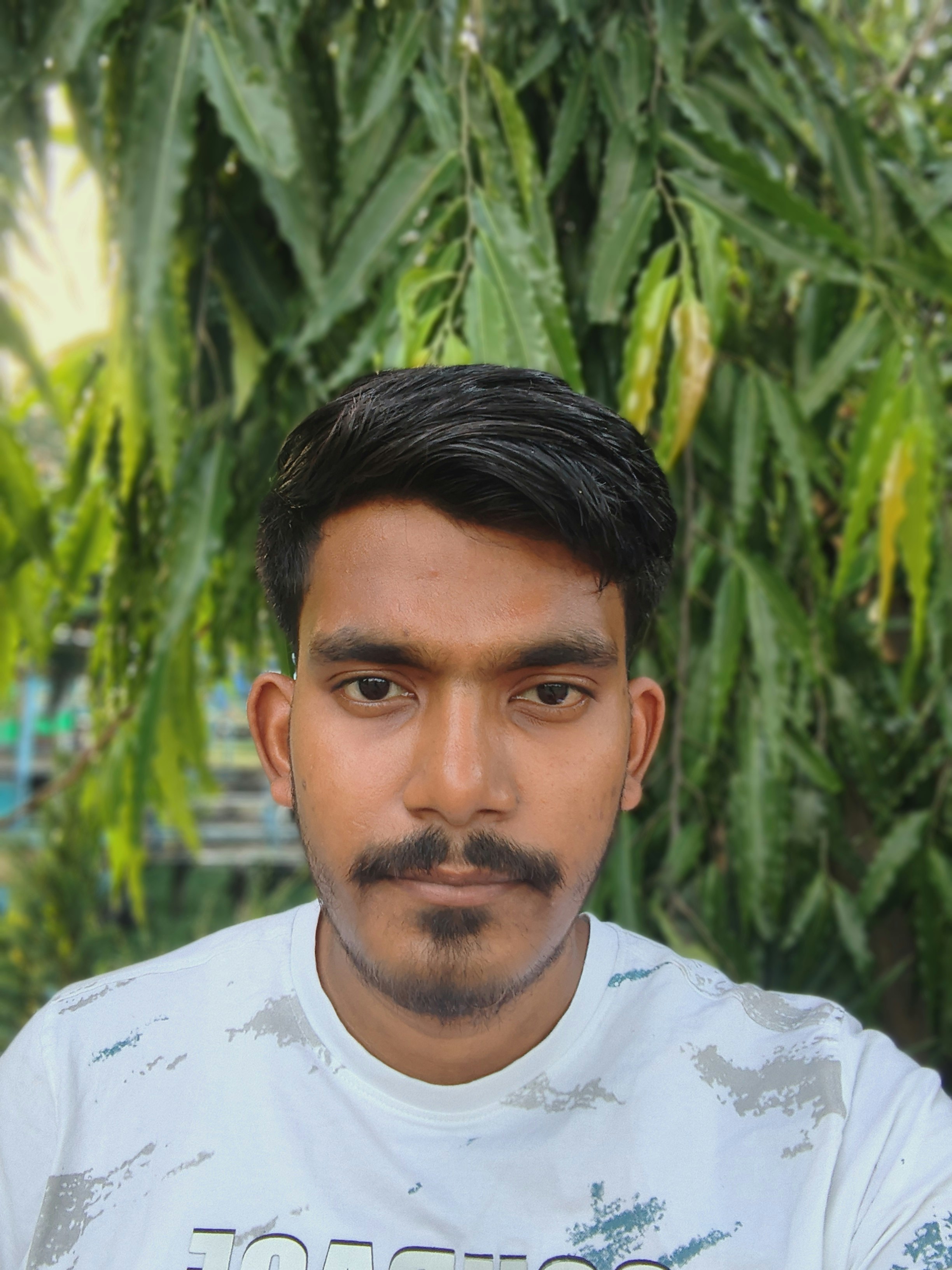 Megha Seikh
