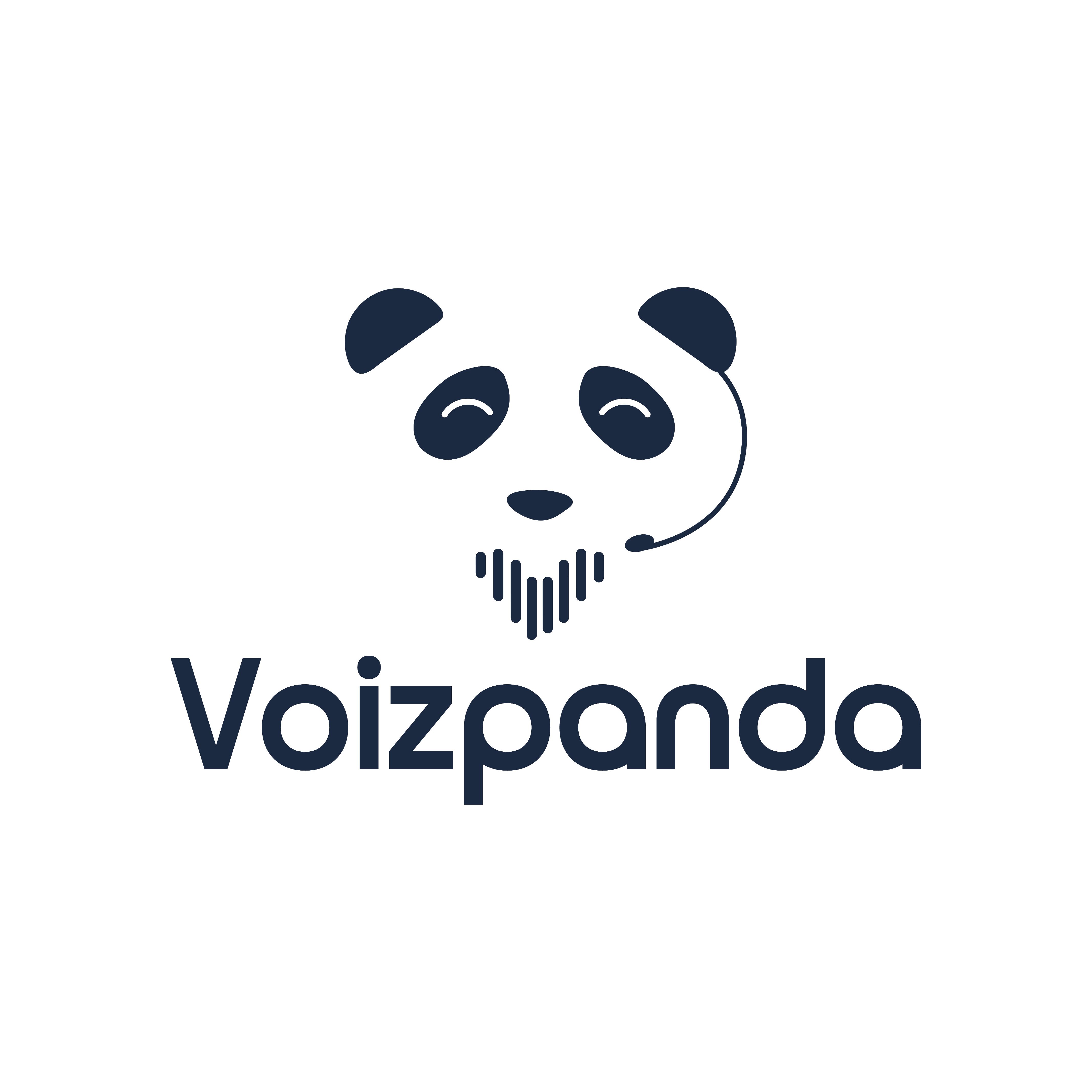 VoizPanda