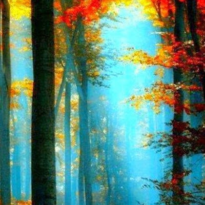 Boon L. – EarlyBird Finds