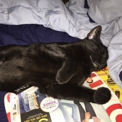 Kristina Dzhangiryan