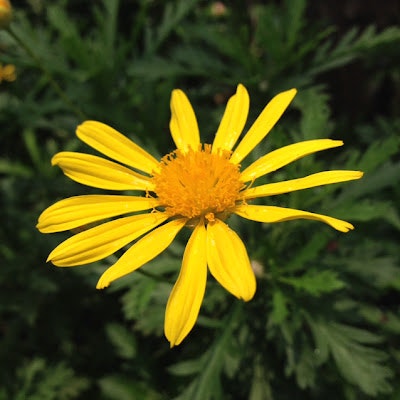 Abdul Jabbar Tajudeen