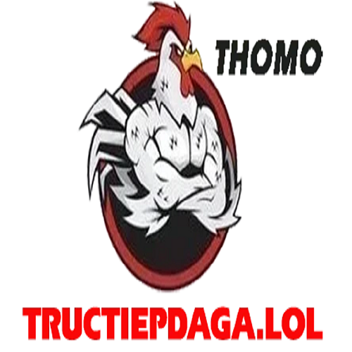 ĐÁ GÀ TRỰC TIẾP