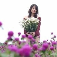 Nguyễn Nguyệt Anh