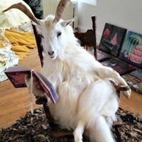 Israel Messmore Fraga