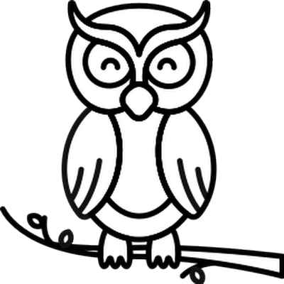 The Owl Co