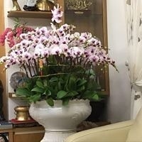 Nguyễn Xuân Chường