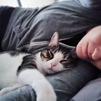 Rachel Indelible Mark