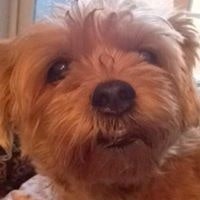 Shana Mitchell-Boyle