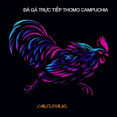 ĐÁ GÀ TRỰC TIẾP THOMO HÔM NAY