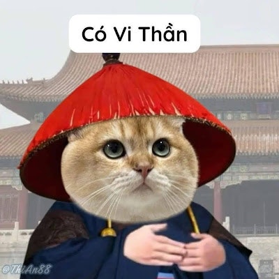 Thảo Nguyễn Phạm Xuân