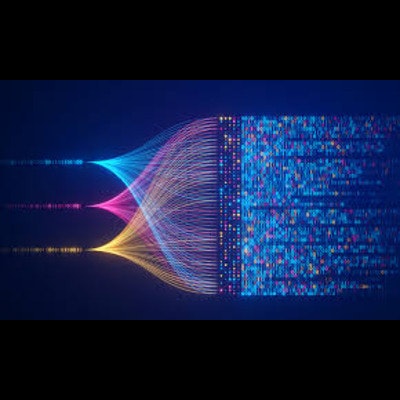 Syntheticpassport Datasets