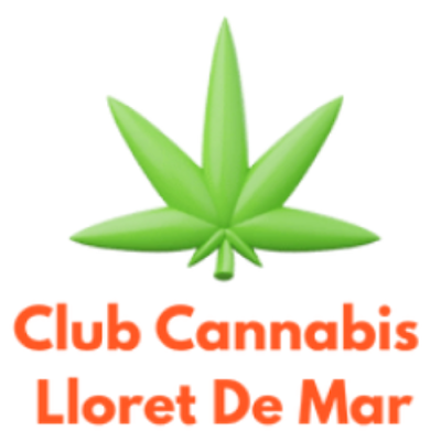 Clubs Cannabis Lloret De Mar