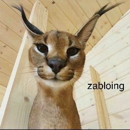 Floppa Zabloing