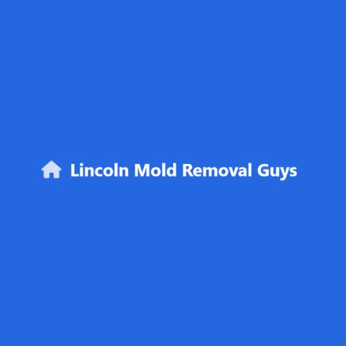 Lincoln Mold Removal Guys