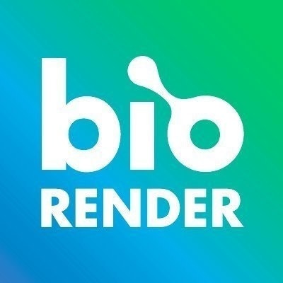 BioRender🔬🎨