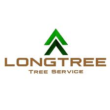Long Tree