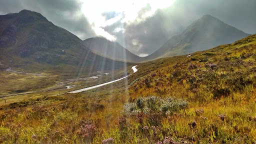 Natalia Monzón Muñoz