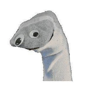 Pedro Cavalcante Oliveira