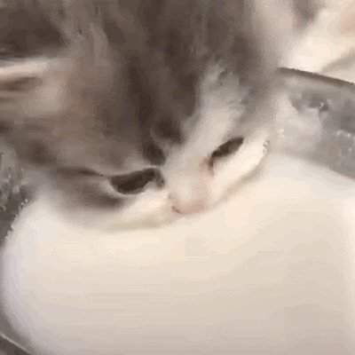 張詩楓（カエデエエエ）