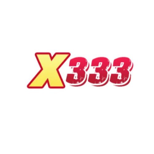 X 333