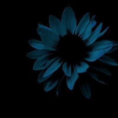 Alimardon Ortiqboyev