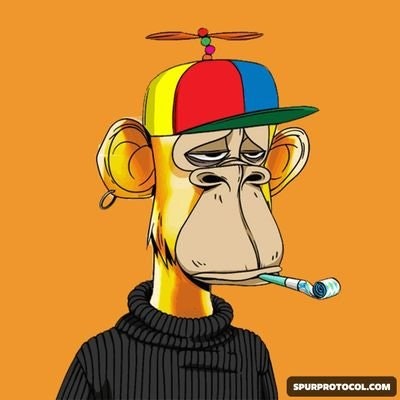 Kollective 🍊,💊 | 𝔽rAI $DROPEE @spurproto