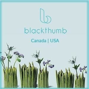Blackthumb Decor