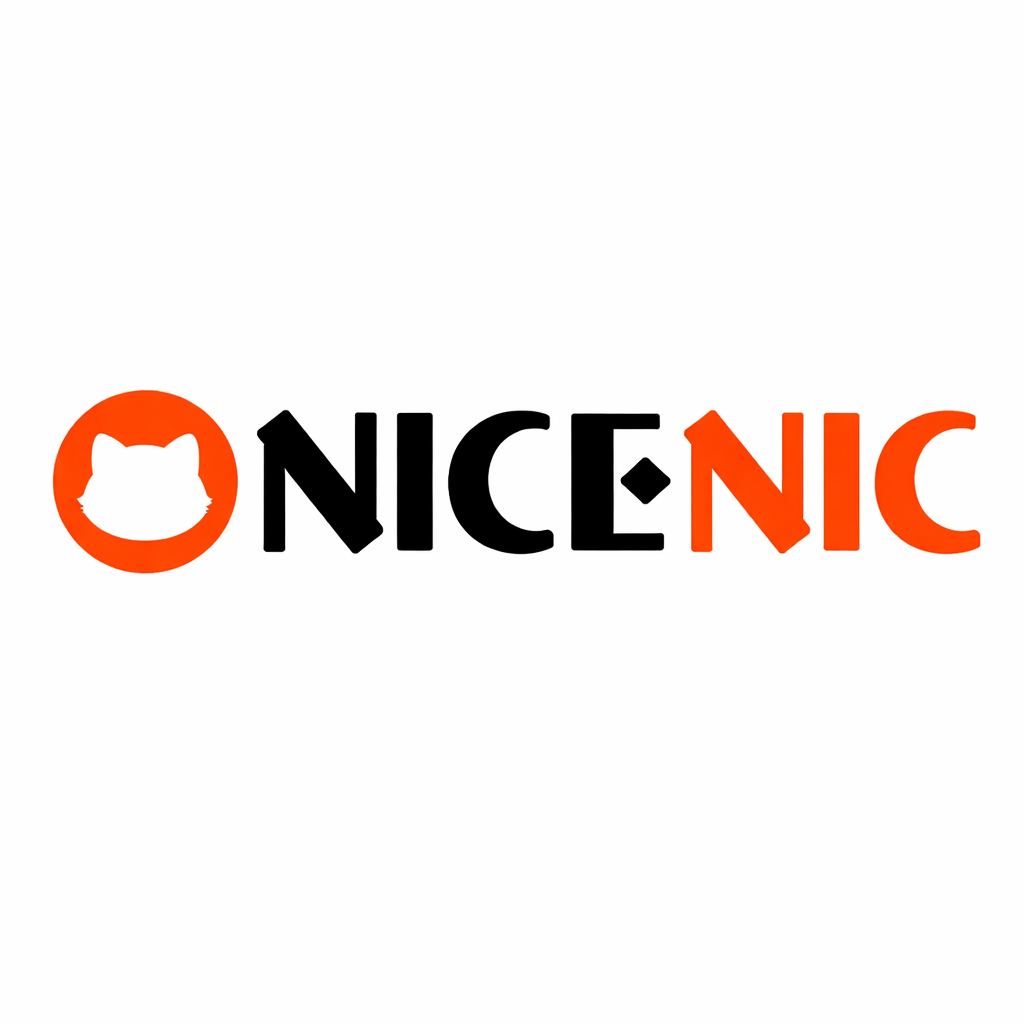 NiceNIC