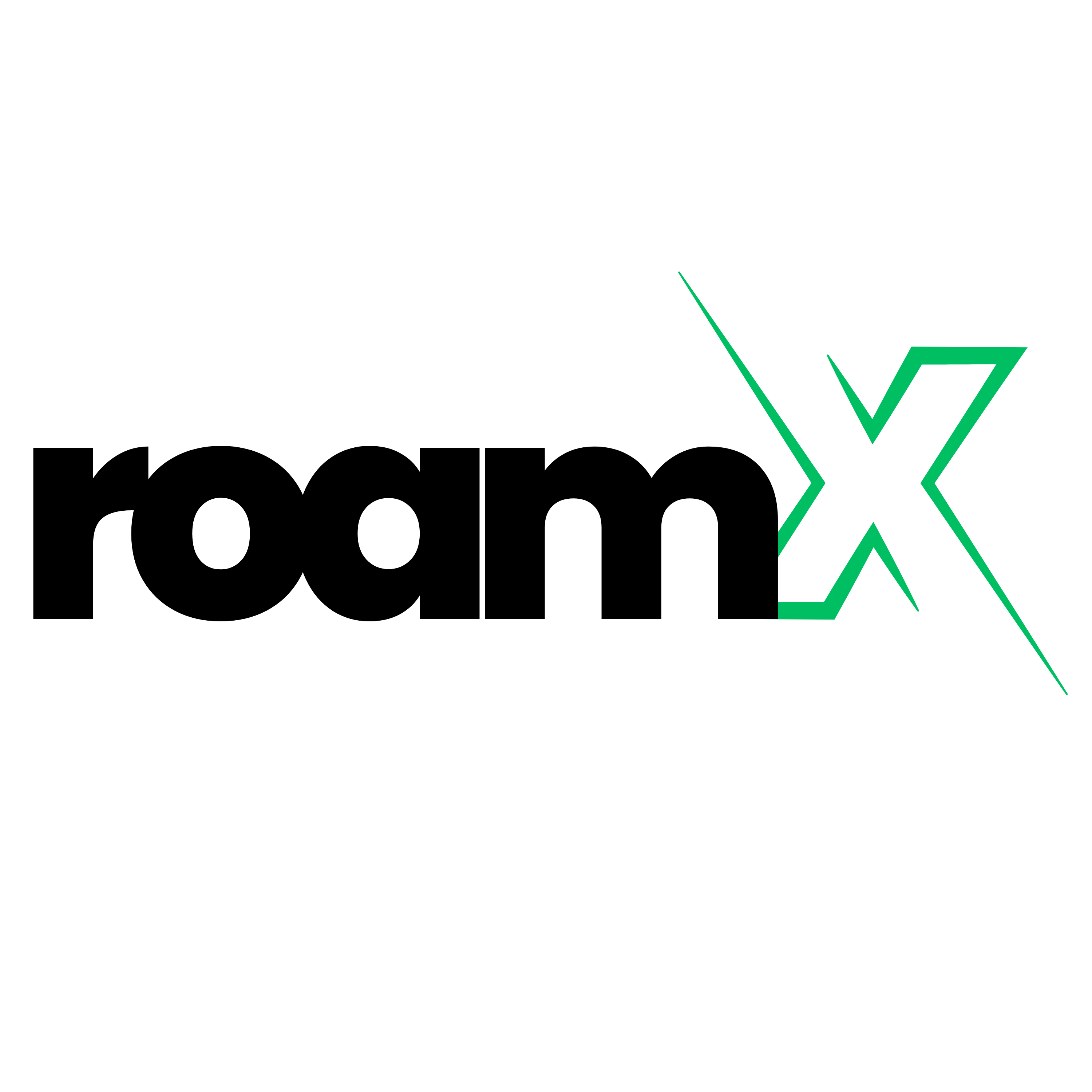 RoamX AI