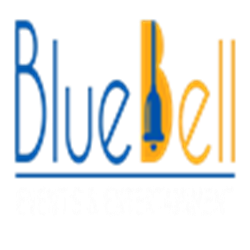 Shruti BluebellSeo