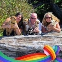 Pattie Huggins Deitrick