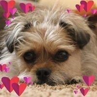 Katrina Plspayurpledge Gomez