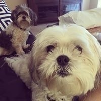 Kelsey Lehtomaa Frouge