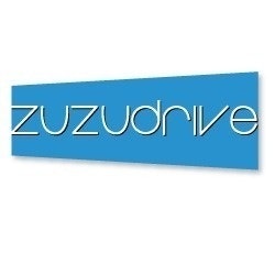 zuzudrive.com