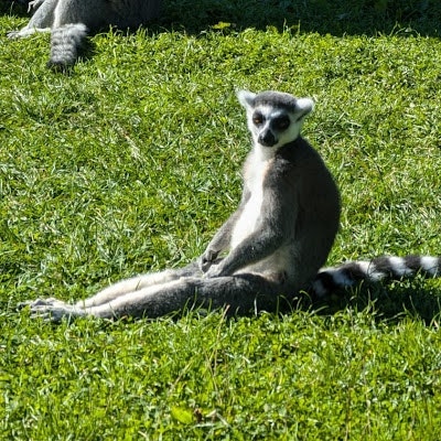 Benjamin Fradin de la Renaudiere