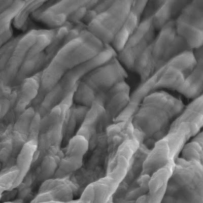 Kirubanandan Shanmugam