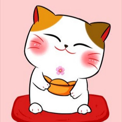 duc vo