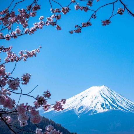 akaike