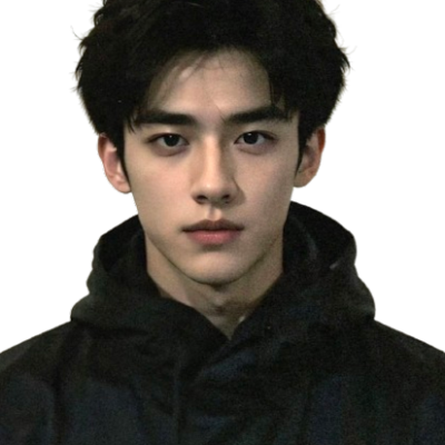 Danie Developer Germany