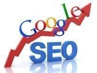 Seo Devloper