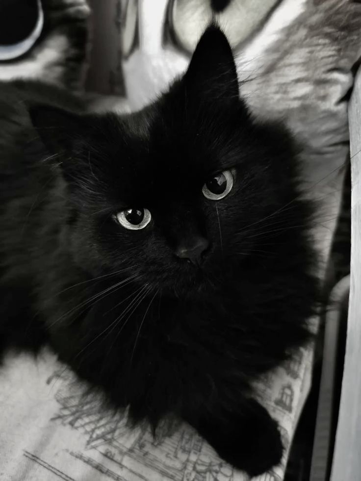 al