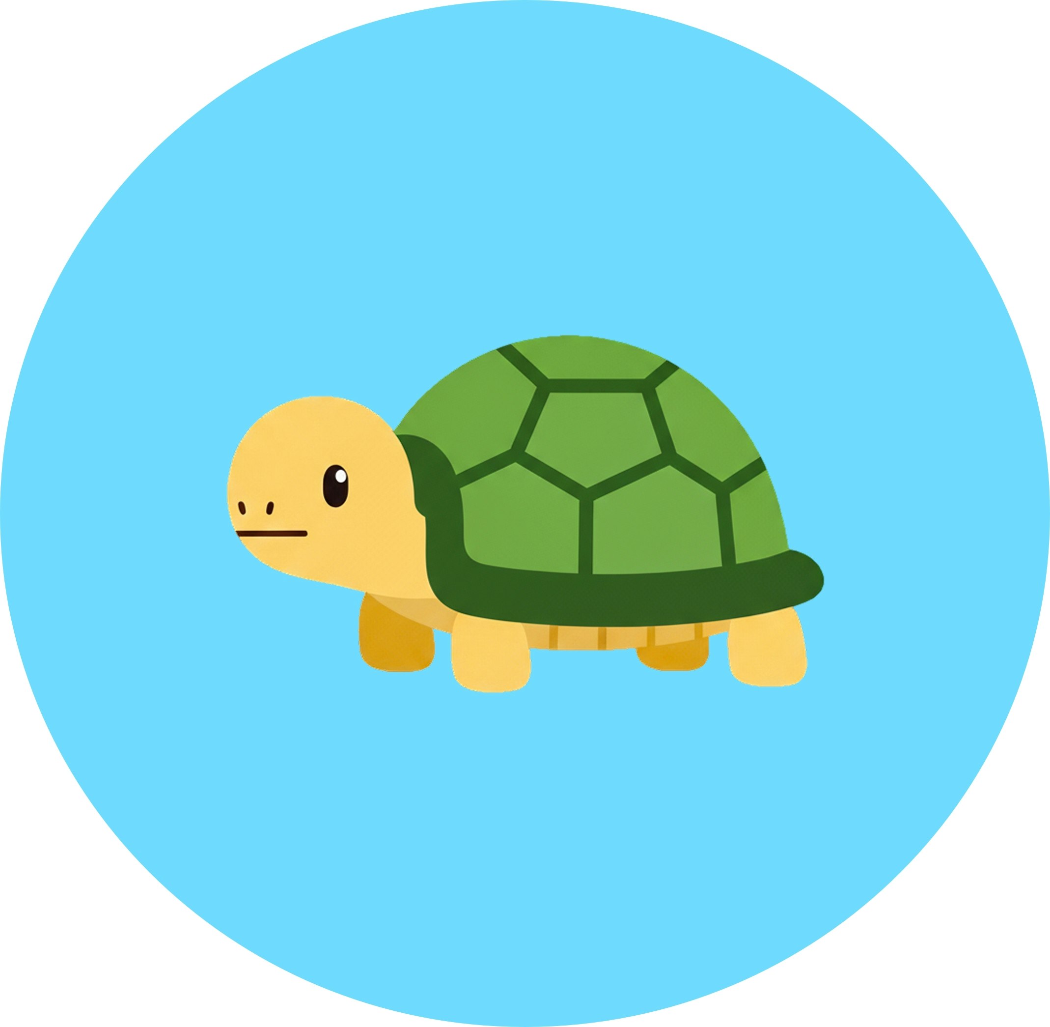 turtle-tail